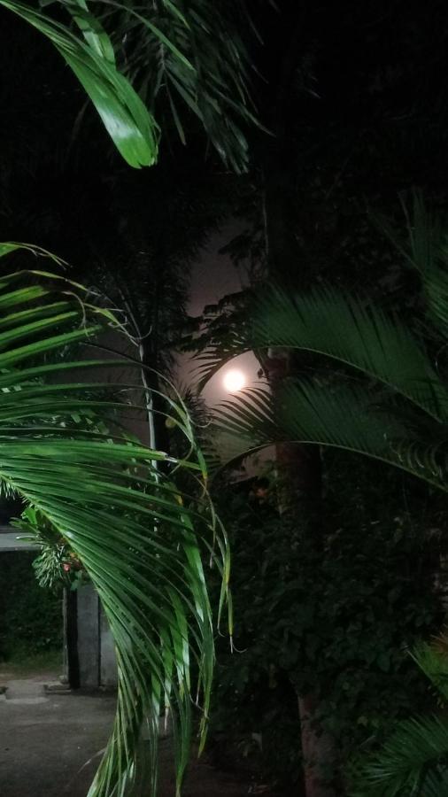 Ani Bungalows Τζίλι Τραγουανγκάν Εξωτερικό φωτογραφία